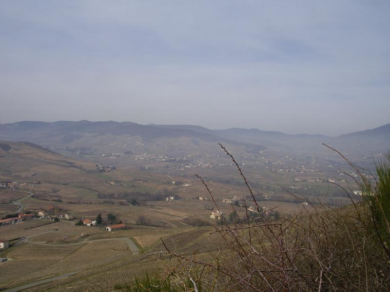 From Mount Brouilly.JPG